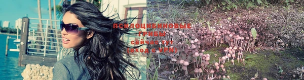 ПСИЛОЦИБИНОВЫЕ ГРИБЫ Тобольск